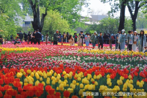 低息配资股票 北京市属公园发布“五一”假期亲子游乐攻略